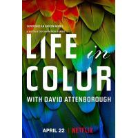 H1005 BD50 生命之色/大卫·艾登堡：自然本色 Life In Colour (2021)