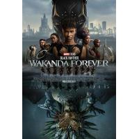 D1552黑豹2 (2022)带国配5.1 豆瓣5.8