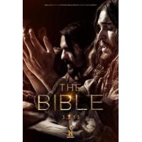 H1471-1474 BD50 圣经故事 4碟 The Bible (2013)...