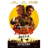 Y1588功夫梦：融合之道/功夫梦2 (2025) 高清版 豆瓣5.9