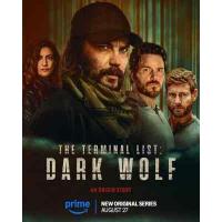 W1386-1387终极名单：黑狼 2碟装 2025年最新高分口碑动作惊悚剧