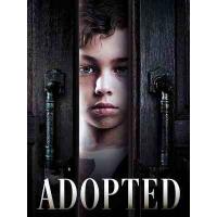 W1398弃子 2025网飞出品土耳其剧情新片