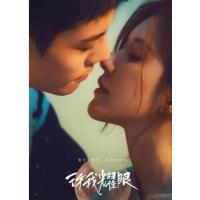 W1464-1466许我耀眼/大乔小乔(剧版)3碟装(2025)高清版 豆瓣6....