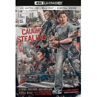 A22-22 4K UHD 偷天盗日/盗垒失败 (2025) 杜比视界 豆瓣6.1