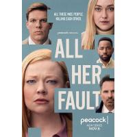 V1309-1310都是她的错 2碟装 2025年最新爆款悬疑犯罪剧集