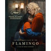 V1362弗拉明戈的神秘眼神 2025年法国上映同性剧情片