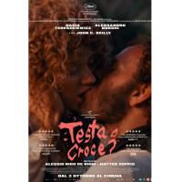 V1573正面还是反面？2025年意大利上映剧情西部片