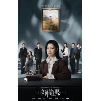 U1378-1381女神蒙上眼 4碟装 2026辛芷蕾、林雨申领衔主演的都市律政...